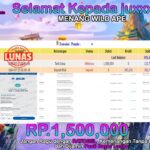 BUKTI JACKPOT SLOT WILD APE TERPERCAYA DI INDONESIA TGL 23-07-2024